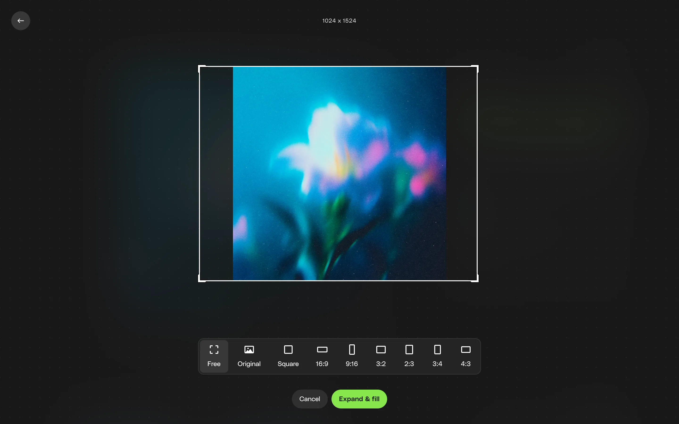 Image Edit interface