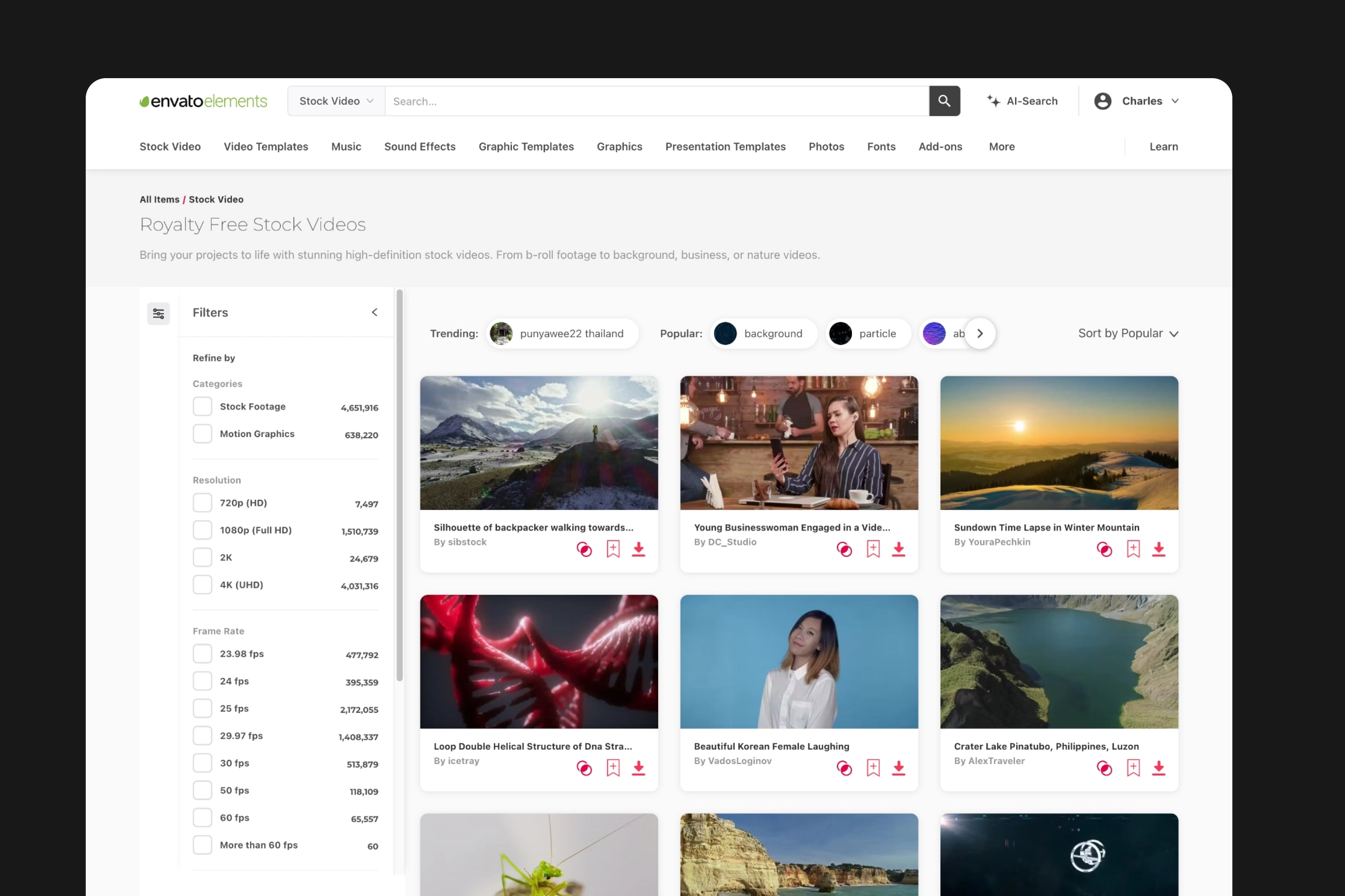 Previous designs for Envato Elements